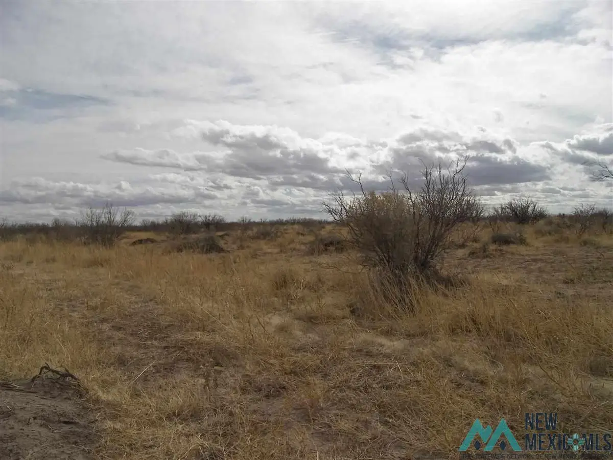 Elfido Rd Ne, Deming, NM 88030 - Image #1