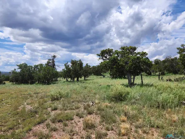 132 Cimarron Drive Drive, Quemado, NM 87829