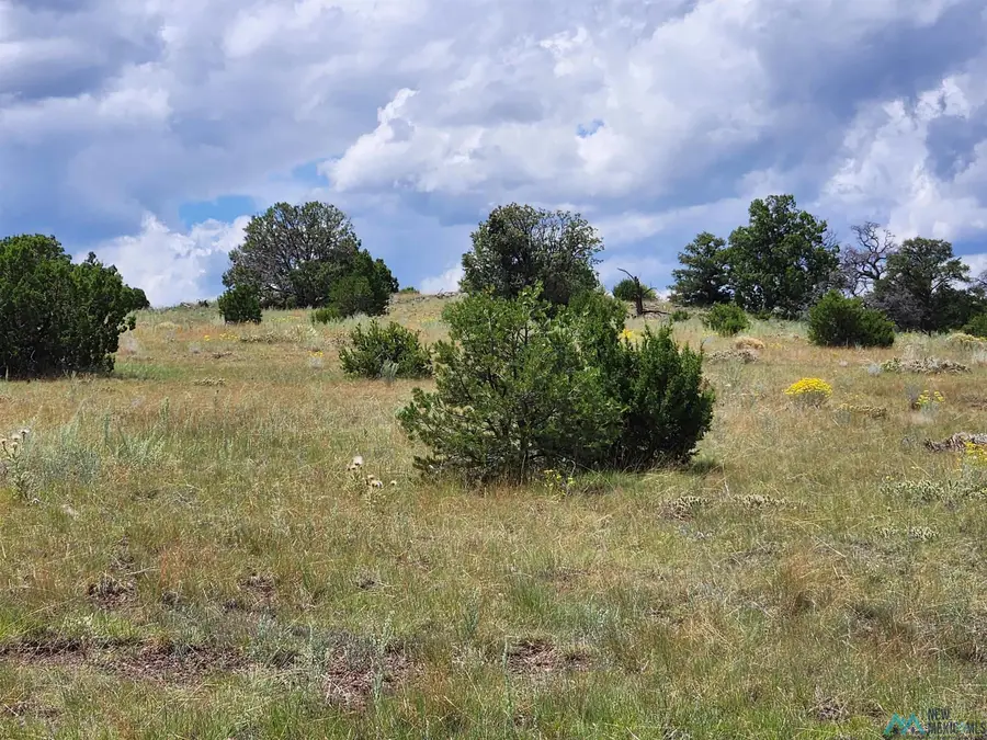 132 Cimarron Drive Drive, Quemado, NM 87829 - Image #2