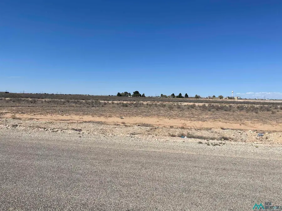 E Harkness Road, Carlsbad, NM 88220 - Image #2