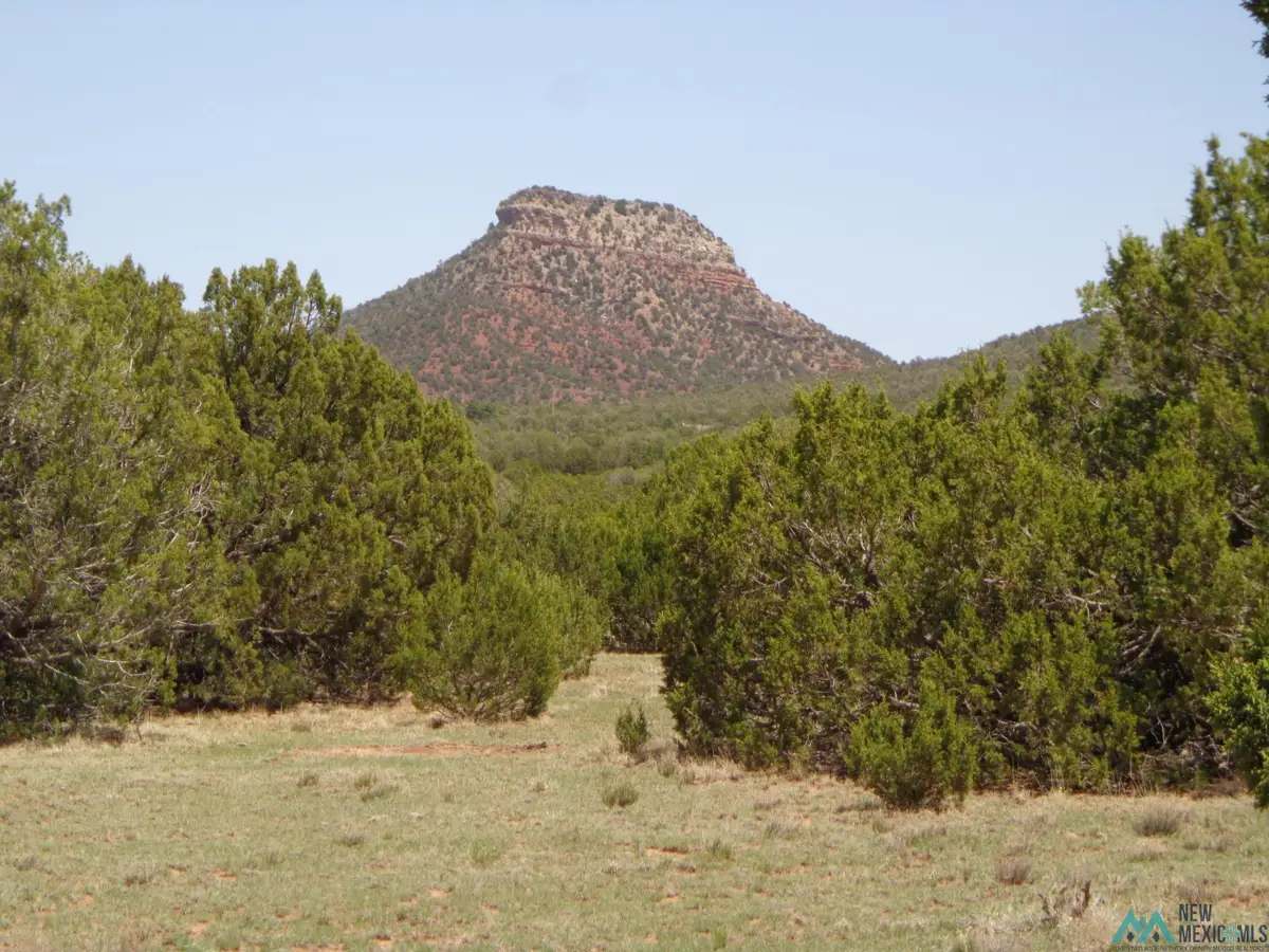 Tr 2B Camino Del Sol Road, Bernal, NM 87569 - Image #1