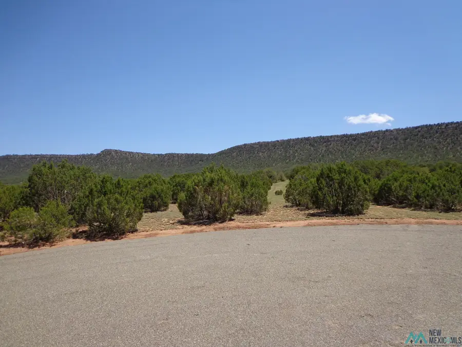 Tr 2B Camino Del Sol Road, Bernal, NM 87569 - Image #2