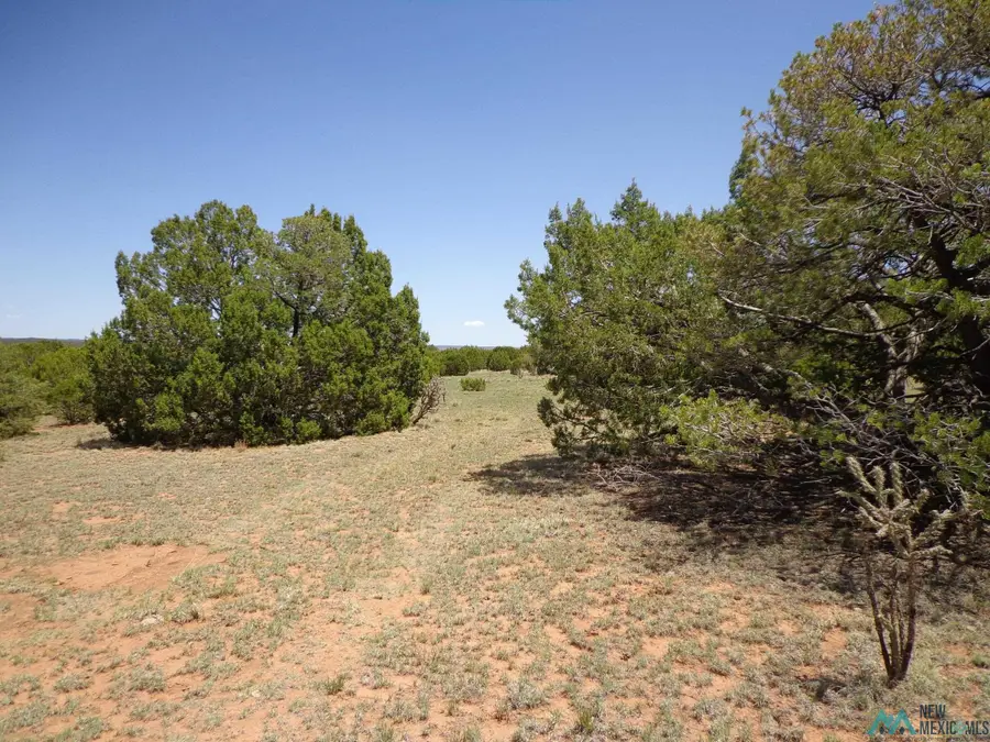 Tr 2B Camino Del Sol Road, Bernal, NM 87569 - Image #3