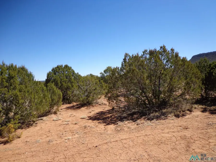 Tr 2A Camino Del Sol Road, Bernal, NM 87569 - Image #3