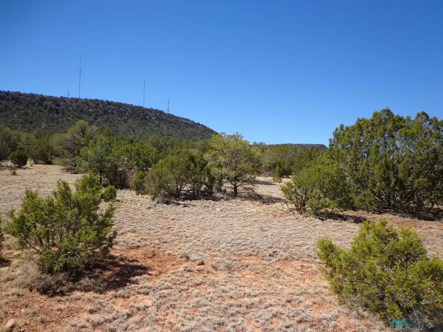 Tr 1B Camino Del Sol Road, Bernal, NM 87569 - Image #2