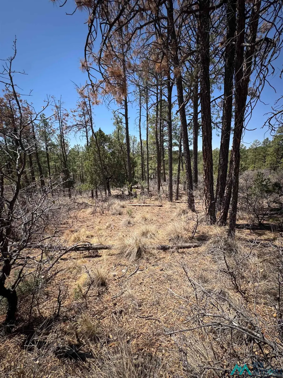 27 Hayssinia Street, Timberon, NM 88350 - Image #1