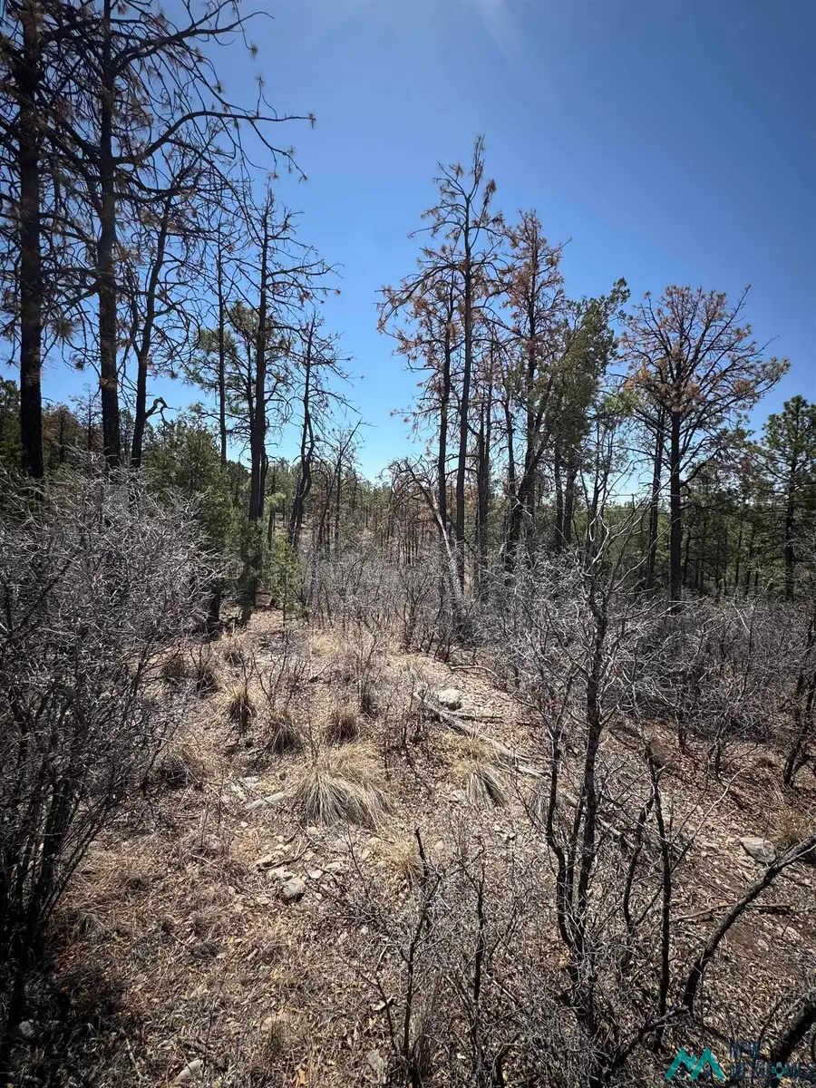 27 Hayssinia Street, Timberon, NM 88350 - Image #3