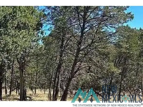 Lot 20 Norwood Road, Timberon, NM 88350