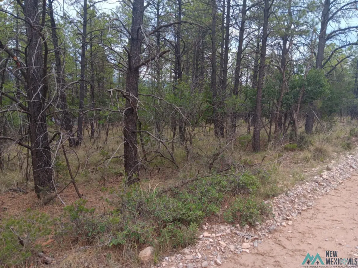 Lot 7 Homewood Drive, Timberon, NM 88350 - Image #1