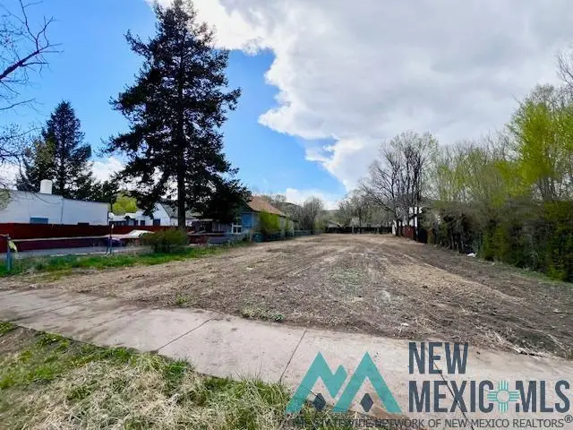 632 N 2nd Street, Raton, NM 87740 - #3