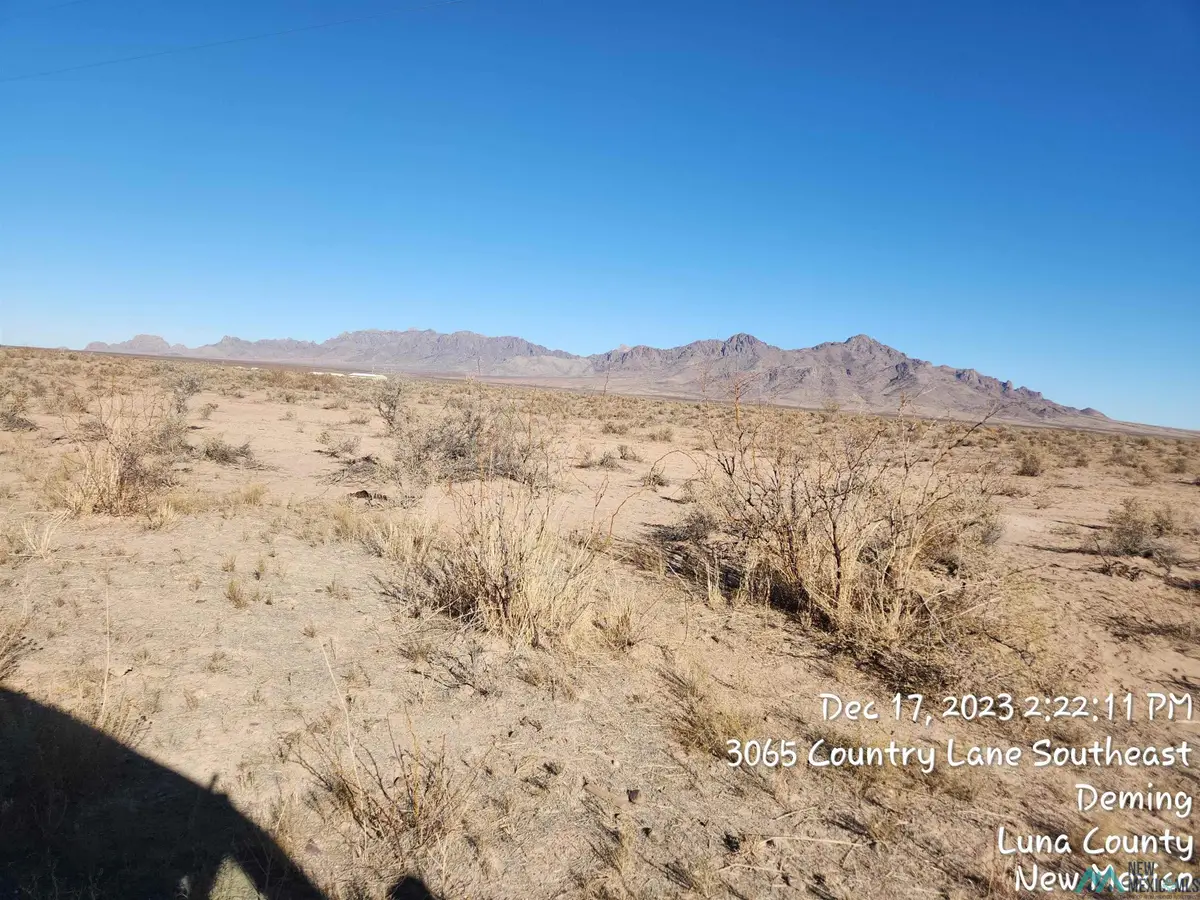 00 San Fernando Rd Se Road, Deming, NM 88030 - Image #1