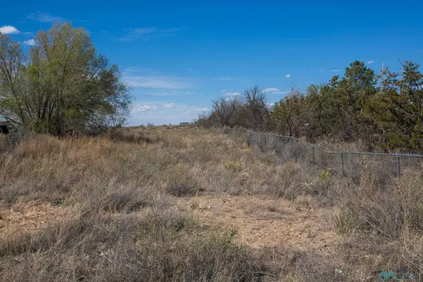 Lot: 1 Block 11, Willard, NM 87063