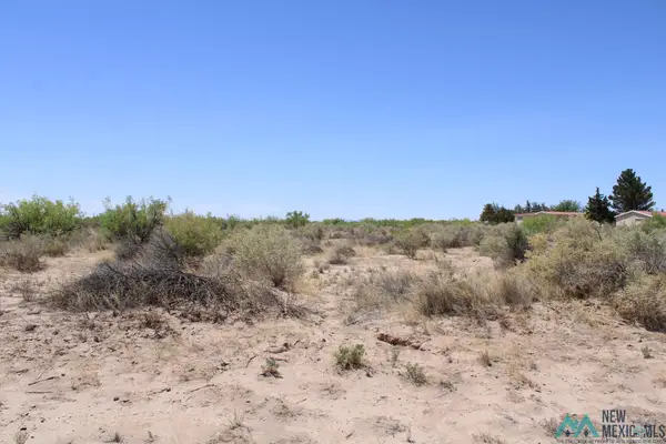 Hondo Rd Sw, Deming, NM 88030