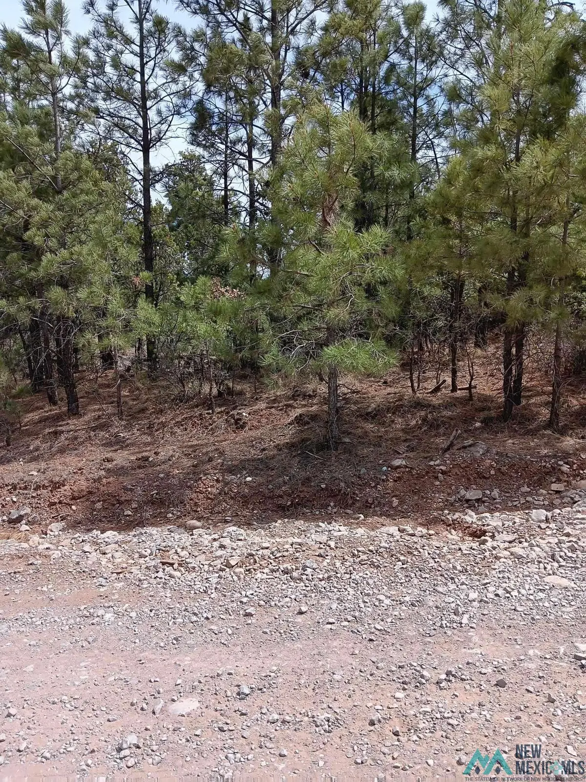 Lot 21 Wishita Drive, Timberon, NM 88350 - Image #1