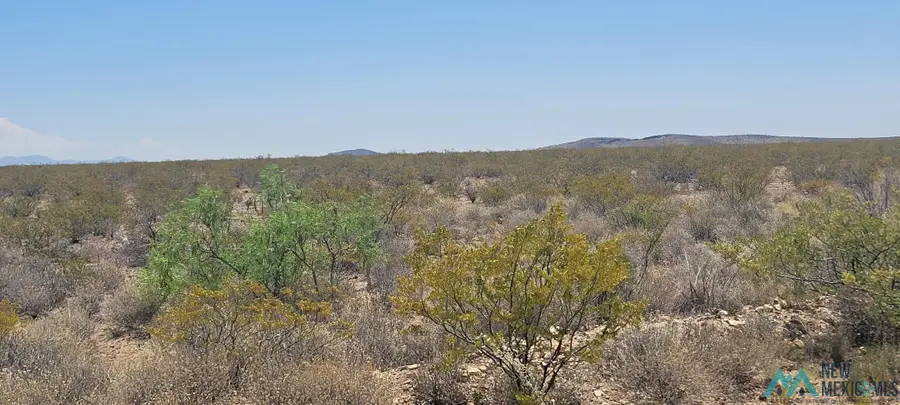 276 Champagne Hills Rd Road, Elephant Butte, NM 87935 - Image #3