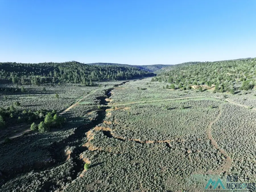 000 Fs 301l, Dulce, NM 87528 - Image #2