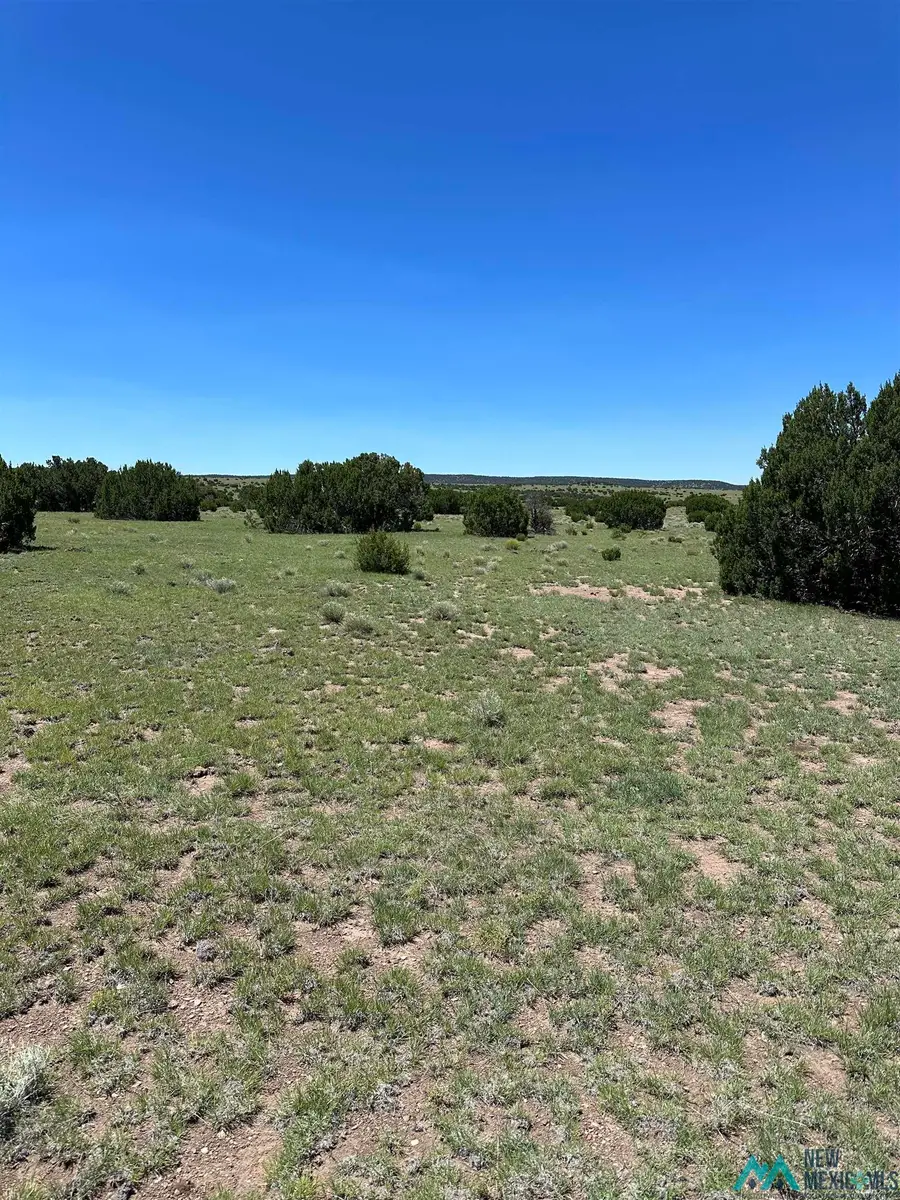 92 Northern Road, Quemado, NM 87829 - Image #3