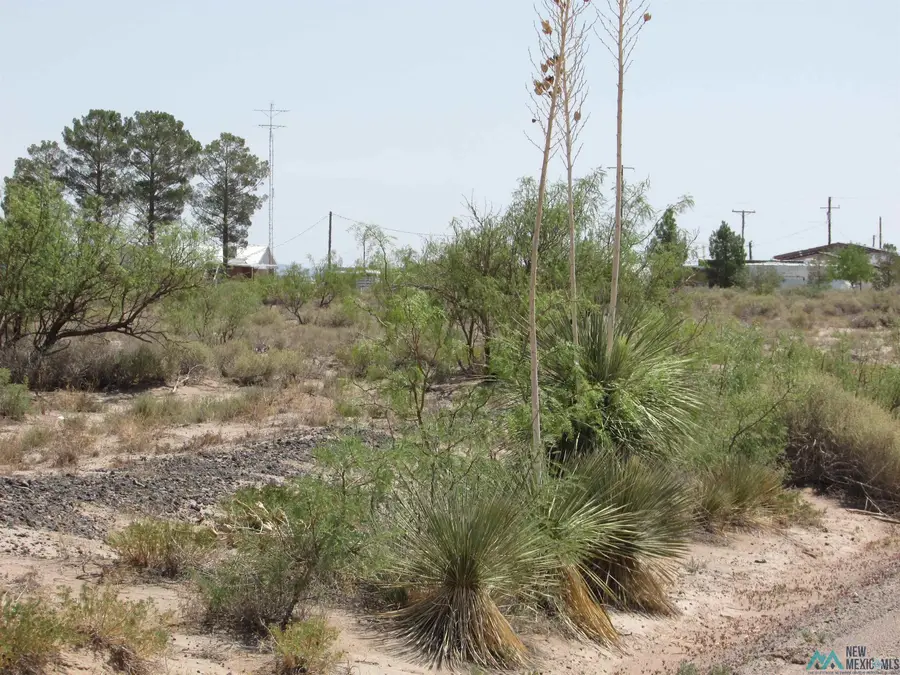 XXX San Isidro Rd Se, Deming, NM 88030 - Image #3