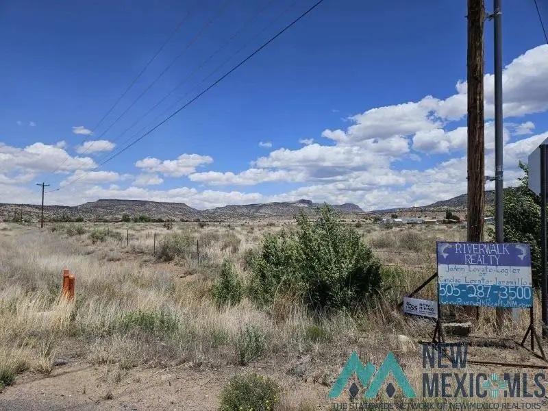 Corner Roosevelt & Sakelares Boulevard, Grants, NM 87020 - Image #3