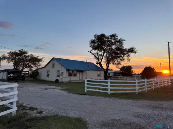 1661 S Roosevelt Road 6 Road, Portales, NM 88130