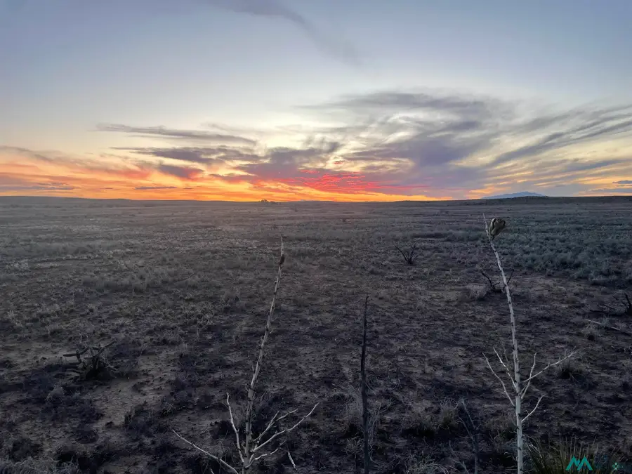 Buena Vida 4 Blk 6 Lot 1, Roswell, NM 88201 - Image #2
