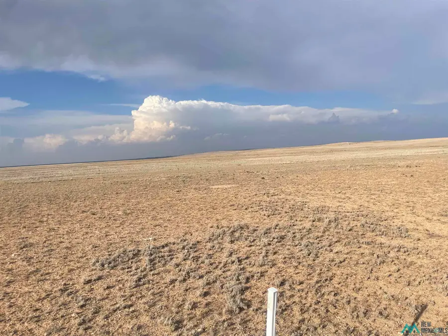 Buena Vida 4 Blk 6 Lot 1, Roswell, NM 88201 - Image #3