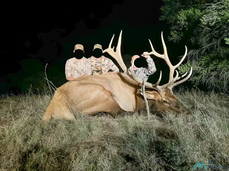 000 Omega Road, Quemado, NM 87829 - Image #2