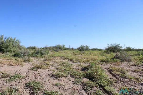 Camilo Rd Sw, Deming, NM 88030