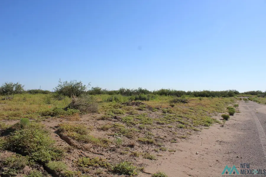 Camilo Rd Sw, Deming, NM 88030 - Image #2