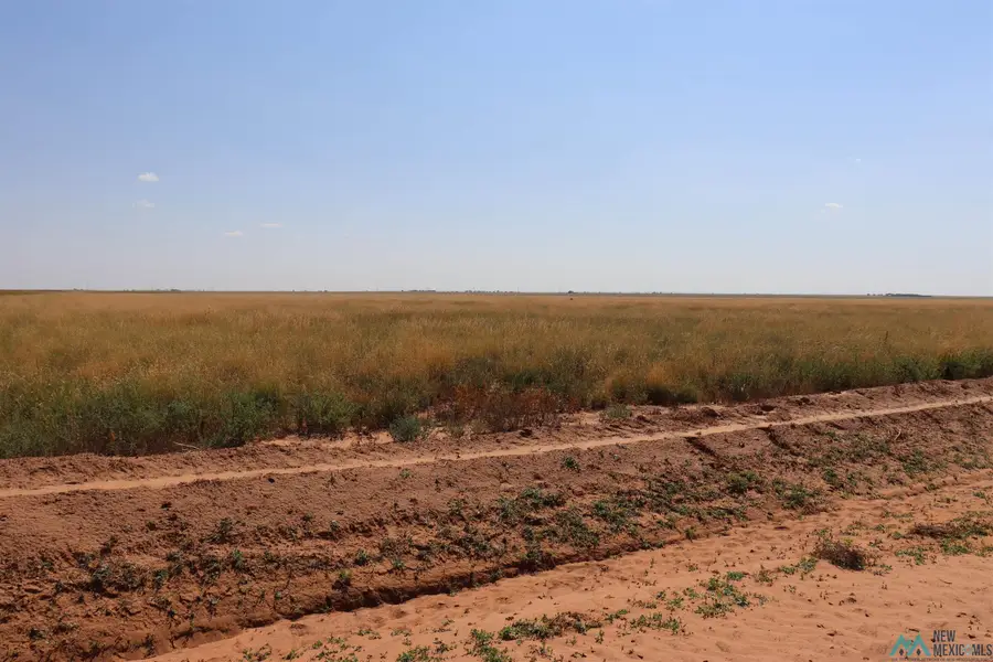 1398 Curry Road Y, Melrose, NM 88124 - Image #3