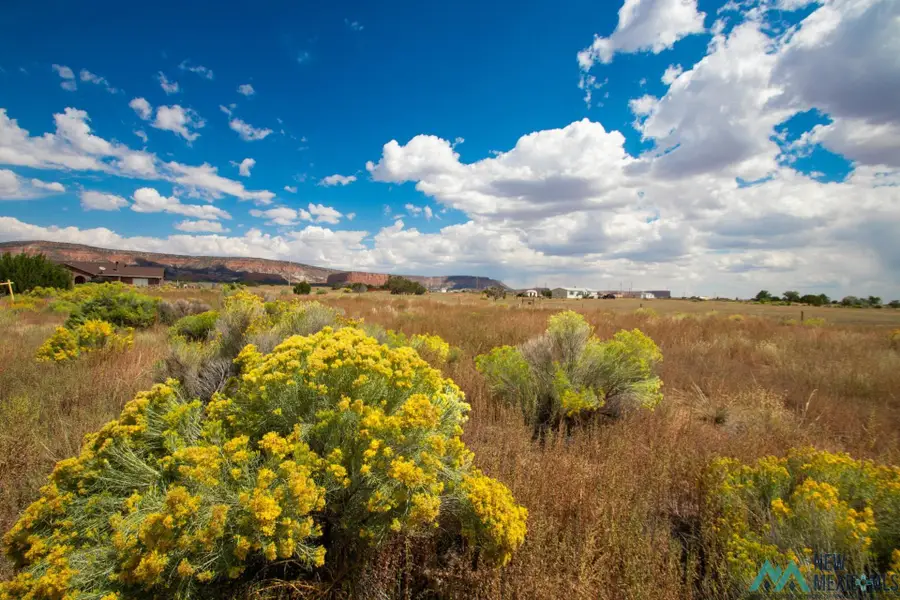 Lot 12 Calle Bonita Court, Thoreau, NM 87323 - Image #2