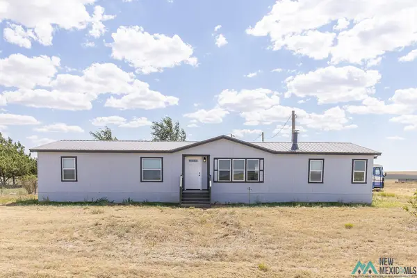 1157 State Road 275 Road, Broadview, NM 88120