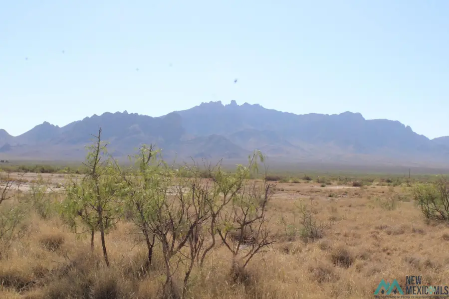 Challa Rd Se, Deming, NM 88030 - Image #3