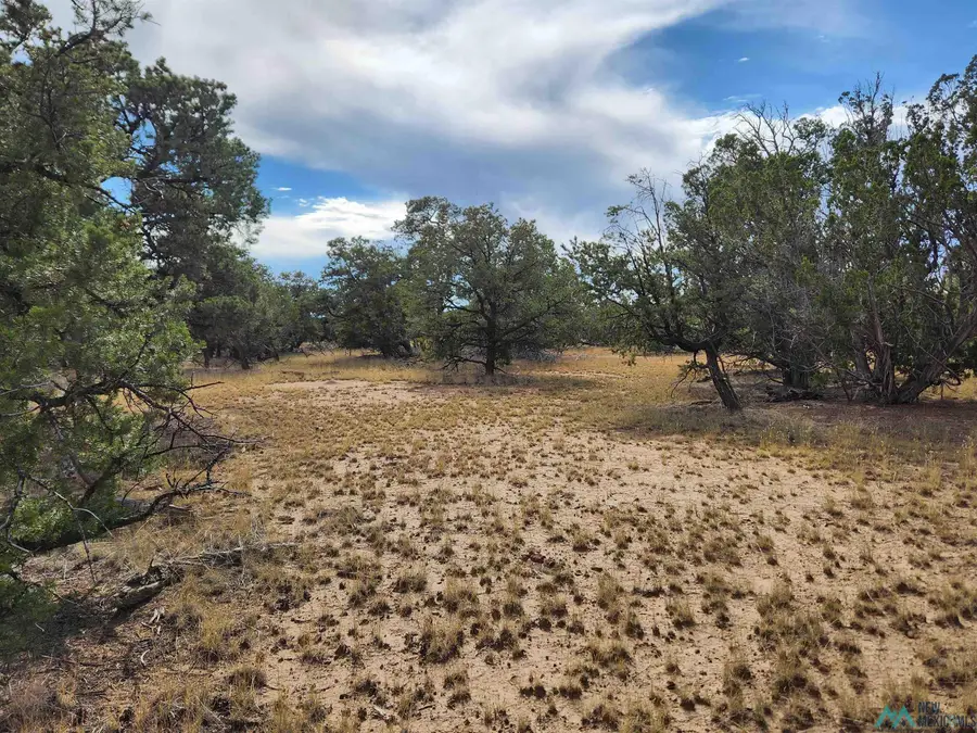 136 Ponderosa View Loop Road, Pie Town, NM 87827 - Image #2
