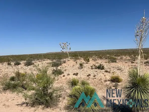 396 Happy Valley North Rural Road, Carlsbad, NM 88220