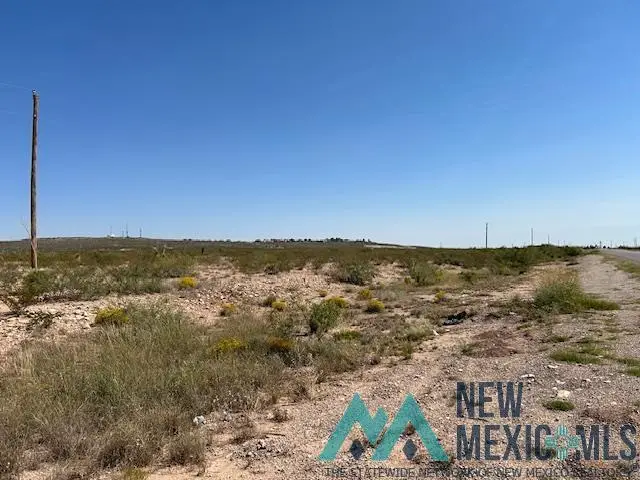 396 Happy Valley North Rural Road, Carlsbad, NM 88220 - Image #3