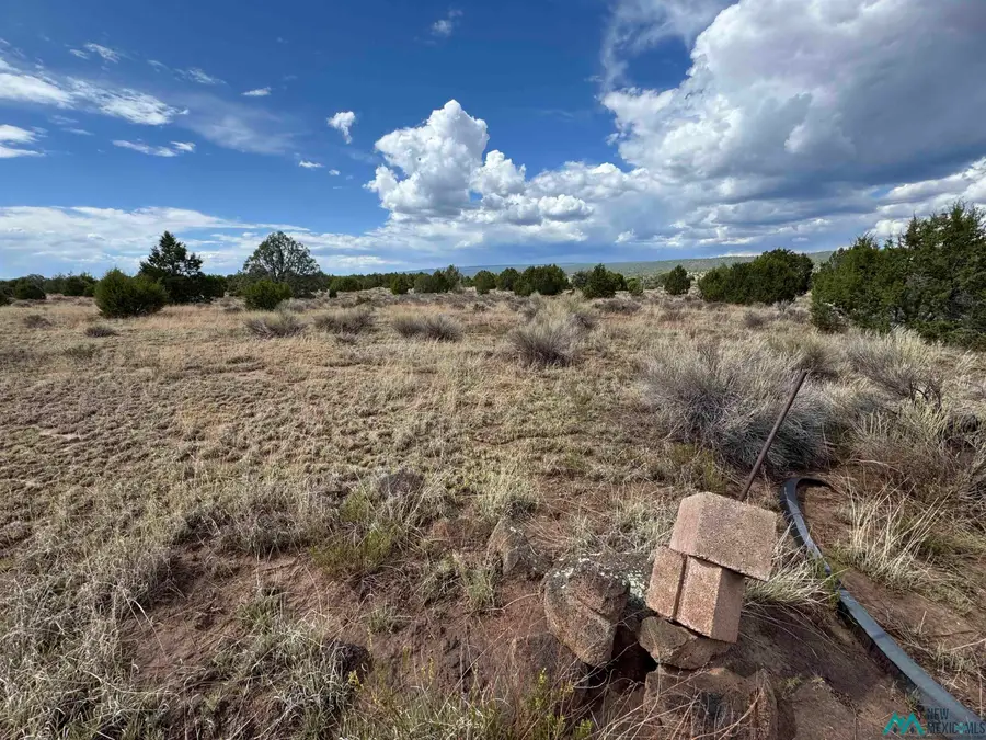Lot 61 Bobcat Lane, Ramah, NM 87357 - Image #2