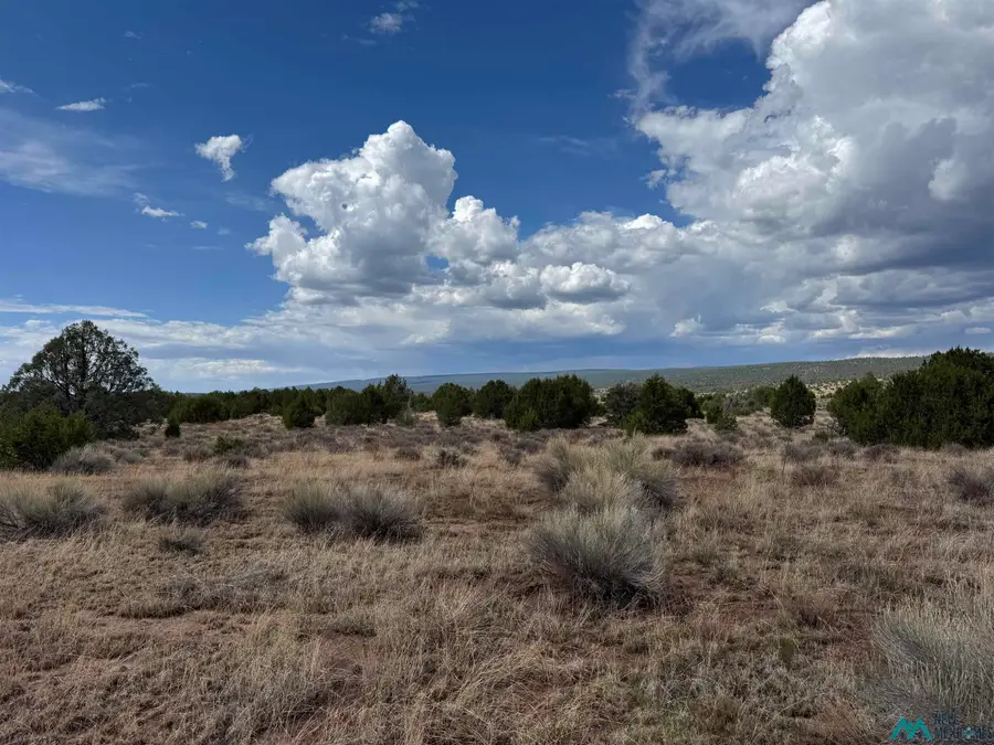 Lot 61 Bobcat Lane, Ramah, NM 87357 - Image #3
