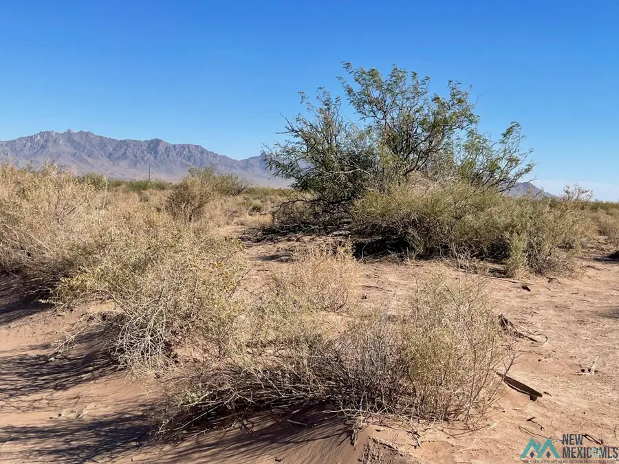 XXXX Pinto Rd Sw, Deming, NM 88030 - Image #2