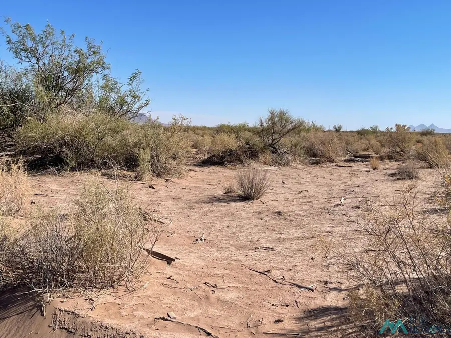 XXXX Pinto Rd Sw, Deming, NM 88030 - Image #3