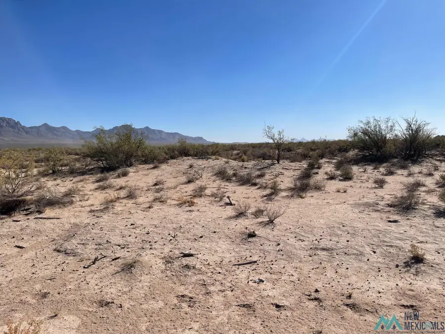 XXXX San Joaquin Rd Se, Deming, NM 88030 - Image #3