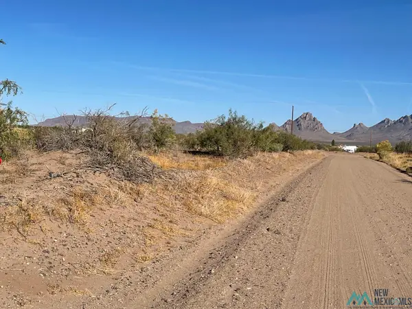 XXXX Unicorn Rd Sw, Deming, NM 88030