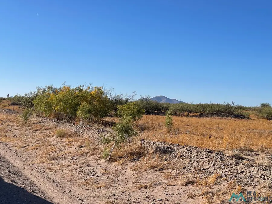 XXXX Unicorn Rd Sw, Deming, NM 88030 - Image #3