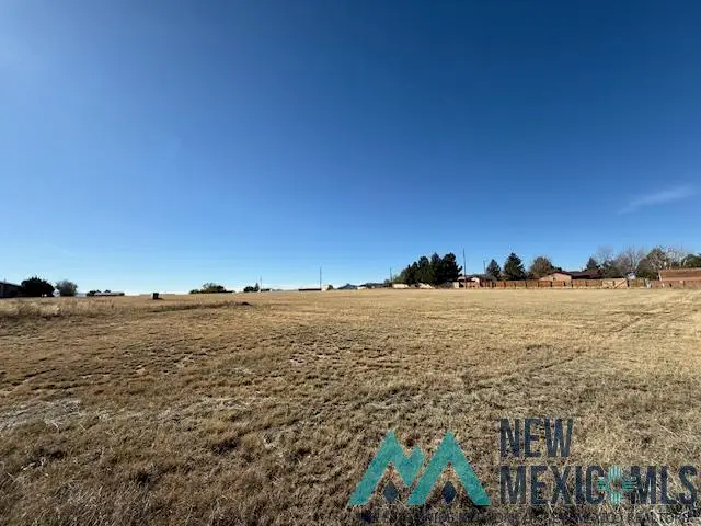 West Of Medical Park Street, Raton, NM 87740 - Image #3