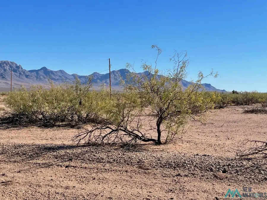XXXX Luna Rd Se, Deming, NM 88030 - Image #3