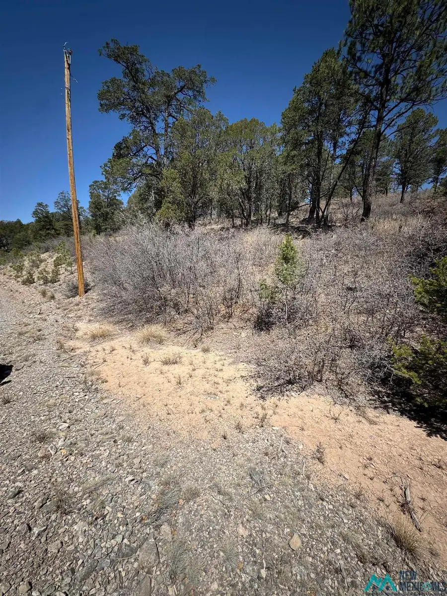 Lot 103 Wishita Drive, Timberon, NM 88350 - Image #2