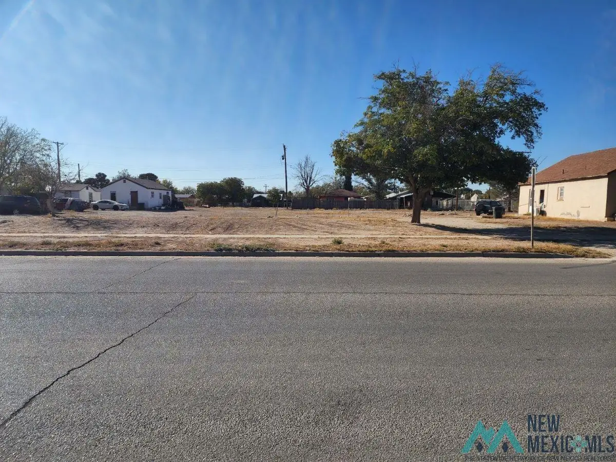 705 S Halagueno Street, Carlsbad, NM 88220 - Image #1