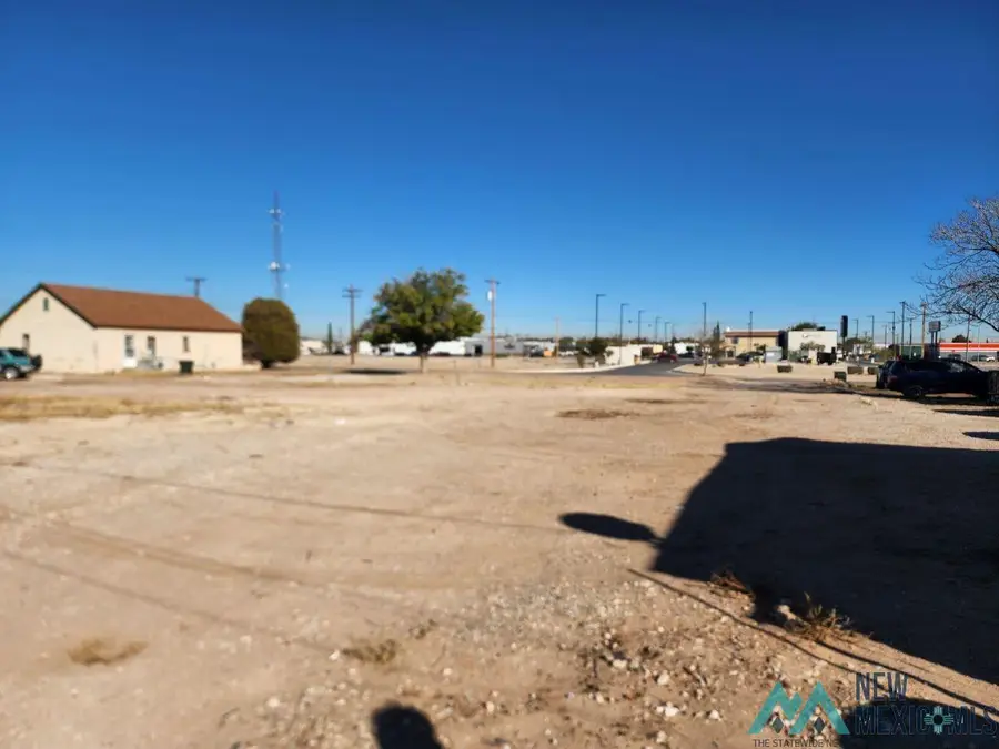 705 S Halagueno Street, Carlsbad, NM 88220 - Image #2
