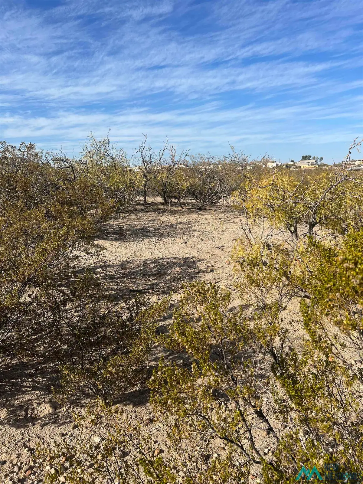 207 Olympic Street, Elephant Butte, NM 87935 - Image #1