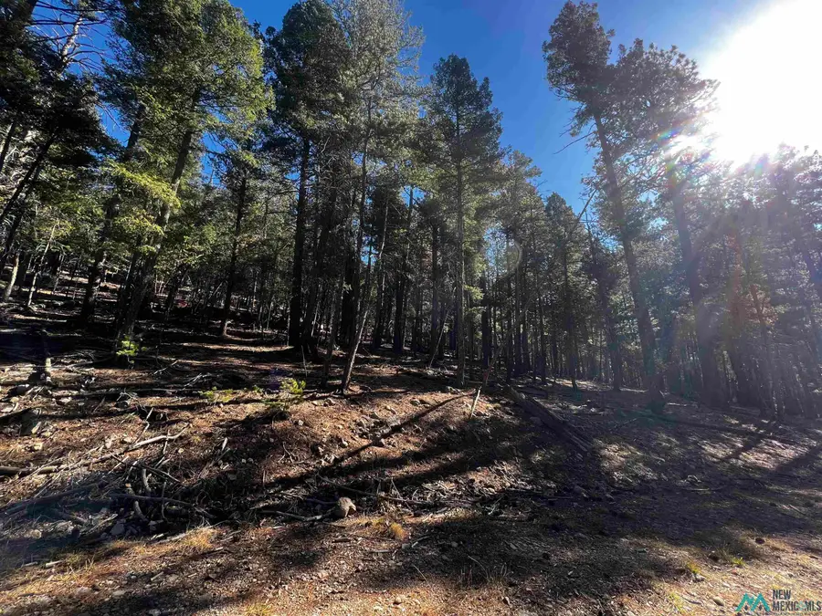 42 Forest View Drive, Cloudcroft, NM 88317 - Image #2